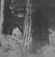 A imagem tirada pelo casal revelaria o fantasma em um parque da cidade  Foto: The Mirror / Reprodução