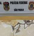 <p>Organização criminosa roubava peças extraídas principalmente do Ceará, que eram enviadas para abastecer museus particulares na Europa, Estados Unidos e Ásia</p>  Foto: Polícia Federal / Divulgação