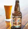 Cerveja artesanal da companhia será levada para toda frota  Foto: Princess Cruises/Divulgação