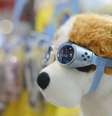 <p>Acessório disposto na Pet South America 2012</p>  Foto: Ricardo Matsukawa / Terra