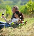 Cursos sobre vinhos em cruzeiros fornecerão certificados aos hóspedes  Foto: Crédito: auremar/Shutterstock