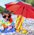  Foto: damedeeso  / iStock