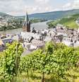 <p>Regi&otilde;es produtoras de vinhos est&atilde;o na rota de cruzeiros fluviais</p>  Foto: T.W. van Urk/Shutterstock