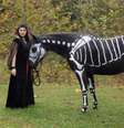 Mulher pinta cavalo de esqueleto para Halloween nos Estados Unidos   Foto: The Grosby Group