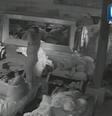 Felipeh Campos tira a roupa na Fazenda  Foto: TV Record / Reprodução
