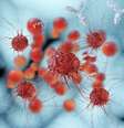 <p>Nanopartículas no sangue e um sensor de pulso são as apostas do Google para diagnóstico precoce de doenças como o câncer</p><p> </p>  Foto: Thinkstock