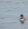 <p>Isopor que serviu como apoio durante os dias de espera pelo resgate era um direcionado para a refrigeração de bebidas e alimentos, durante a pesca</p>  Foto: Mirror / Reprodução