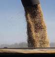 <p>Com crescimento de 2,3% no valor exportado no per&iacute;odo de janeiro a novembro, a soja puxou a 5 Estados</p>  Foto: Enrique Marcarian / Reuters