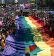 <p>Parada Gay realizada no Rio de Janeiro em 2014</p>  Foto: AP