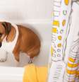 Para reduzir gastos de água, muitos donos estão levando seus animais ao pet shop com menos frequência  Foto: Anna Hoychuk / Shutterstock
