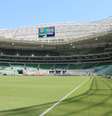 <p>Palmeirenses esgotaram os ingressos para a estreia</p>  Foto: João Vieira / Terra