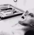 Segundo Carey, o filme com as imagens do suposto alienígena mostra uma criatura de cerca de 1,20 metros, de cabeça desproporcionalmente grande e olhos parecidos com o de um inseto  Foto: The Mirror / Reprodução