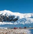 Cruzeiro partirá em 20 de dezembro e terá Natal entre geleiras e Réveillon na Antártica  Foto: axily/Shutterstock