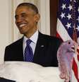 O peru "Cheese" foi 'salvo' por Obama nesse feriado de Ação de Graças  Foto: Reuters