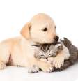  Foto: Ermolaev Alexander / Shutterstock
