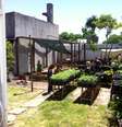 <p>Plantio de mudas no clube de maconha Cluc  Cultivando a Liberdade, o Uruguai Cresce, em Montevidéu</p>  Foto: arquivo / Cluc  Cultivando a Liberdade, o Uruguai Cresce