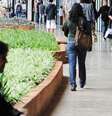 <p>Vagas no ProUni crescem 11% com mais de 213 mil bolsas</p>  Foto: Eco Desenvolvimento