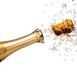 Bebidas alcoólicas prejudicam a saúde bucal, mas especialistas ensinam truques que minimizam os danos  Foto: Nikola Bilic  / Shutterstock