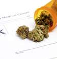 <p>O aplicativo Who is Happy mostra gráficos de felicidade da pessoa, com o histórico e a quantidade de maconha utilizada</p>  Foto: Istock