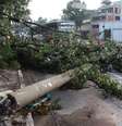 Raios e árvores caídas: veja fotos da tempestade em SP  Foto: Luiz Claudio Barbosa / Futura Press