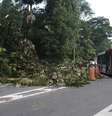 <p>Chuva causou estragos por toda a cidade</p>  Foto: Luiz Claudio Barbosa / Futura Press