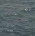 <p>Objetos e corpos foram encontrados a 10 quilômetros do local em que houve a última comunicação com a aeronave</p>  Foto: AP