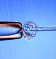 <p>HIV é invisível dentro da célula</p>  Foto: Getty Images/Archivo