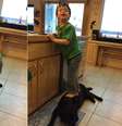 <p>Trig Palin, que tem S&iacute;ndrome de Down, usou o cachorro da fam&iacute;lia como "degrau" em foto</p>  Foto: Facebook / Reprodução