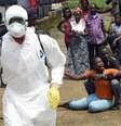 <p>Pelo menos 8.459 pessoas morreram devido à epidemia de ebola no mundo, de 21.329 casos registrados</p>  Foto: AFP