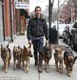 <p>Augusto de Oliveira caminha pelas ruas das cidades de Massachusetts com seus cães</p>  Foto: Daily Mail / Reprodução