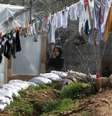 Refugiada síria em acampamento estabelecido no vilarejo de Ketermaya, ao sul de Beirute, no Líbano  Foto: Ali Hashisho  / Reuters