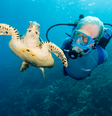 Filho de Jacques Cousteau volta para quatro cruzeiros em 2015  Foto: Carrie Vonderhaar/Ocean Futures Society/Divulgação