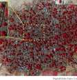 <p>Aldeias inteiras estão sendo eliminadas por ações violentas </p>  Foto: EFE en español