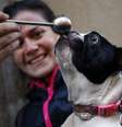  Foto: Sergio Perez / Reuters