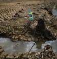 <p>Governo prometeu fazer mais parcerias com os Estados e criar uma campanha de conscientiza&ccedil;&atilde;o para que a popula&ccedil;&atilde;o passe a poupar &aacute;gua</p>  Foto: Nacho Doce (BRAZIL - Tags: DISASTER ENVIRONMENT SOCIETY) / Reuters