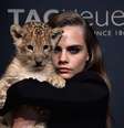 Cara segurou o filhote de leão durante evento da marca de relógios de luxo Tag Heuer  Foto: Getty Images