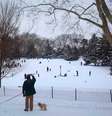 Homem tira foto do Central Park em Nova York após nevasca. 27/01/2015.  Foto: Carlo Allegri / Reuters