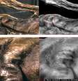 A análise da pele da múmia revelou a nova tatuagem escondida em camadas mais profundas da pele de cor escura de Ötzi  Foto: The Huffington Post / Reprodução