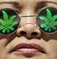 Questão da legalização da maconha tem sido discutida nos EUA  Foto: Jeff Chiu / AFP