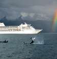 O Seven Seas Mariner é uma embarcação de cruzeiro luxuosa que faz roteiros pelos cinco continentes com viagens que variam de sete a 30 noites  Foto: Regent Seven Seas Cruises/Divulgação