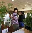 Pessoas passando pela primeira convenção "Expo Cannabis" sobre uso medicinal e cultivo da maconha, que aconteceu em Montevidéu. 14/12/2014  Foto: Andres Stapff / Reuters