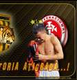 Meme com provocação a D'Alessandro e Internacional  Foto: Facebook oficial do The Strongest / Reprodução