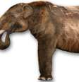  Foto: Wikipedia