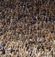 <p>Torcida do Corinthians na Arena em Itaquera</p>  Foto: Paulo Whitaker / Reuters
