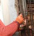 <p>Shabista alimenta Chunmun com leite, frutas e alimentos cozidos</p>  Foto: BBC News Brasil