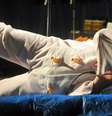 Noël Jamet em uma competição de imitação de gritos de porcos na França, em 2010  Foto: Fred Tanneau / AFP