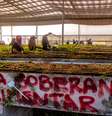 <p>Os participantes da marcha desta quinta-feira (12) devem se unir aos membros da CUT na marcha da próxima sexta-feira (13), também em São Paulo</p>  Foto: MST / Divulgação