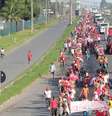 Os manifestantes bloquearam estradas, pedágios e propriedades rurais  Foto: Divulgação/MST