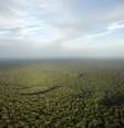 <p>Vista geral da floresta amazônica em São Sebastião do Uatuma, no Amazonas</p>  Foto: Bruno Kelly / Reuters