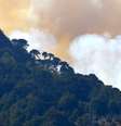 Depois de destruir milhares de araucárias - uma árvore típica da região -, as chamas chegaram ao vizinho parque nacional Conguilló  Foto: Reuters